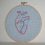 Anatomically Co..